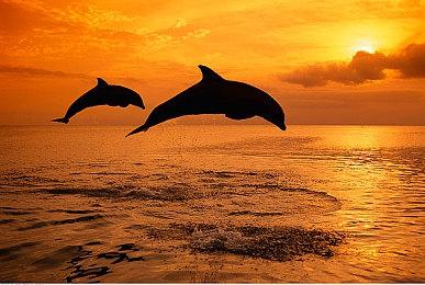 《心渊梦境》全平台定价公开 标准版78元