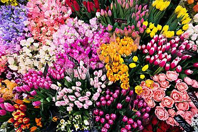 《战地2042》《使命召唤18》双双开启免费试玩和降价促销活动